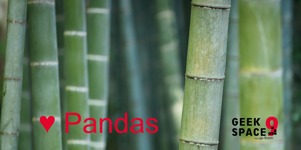 close-up of bamboo, logo: Geek Space 9, writing: love (heart symbol) Pandas
